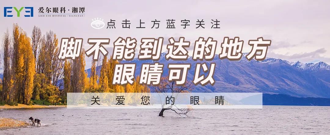 基层医生眼科学术交流会圆满举办,共享眼科前沿技术!插图