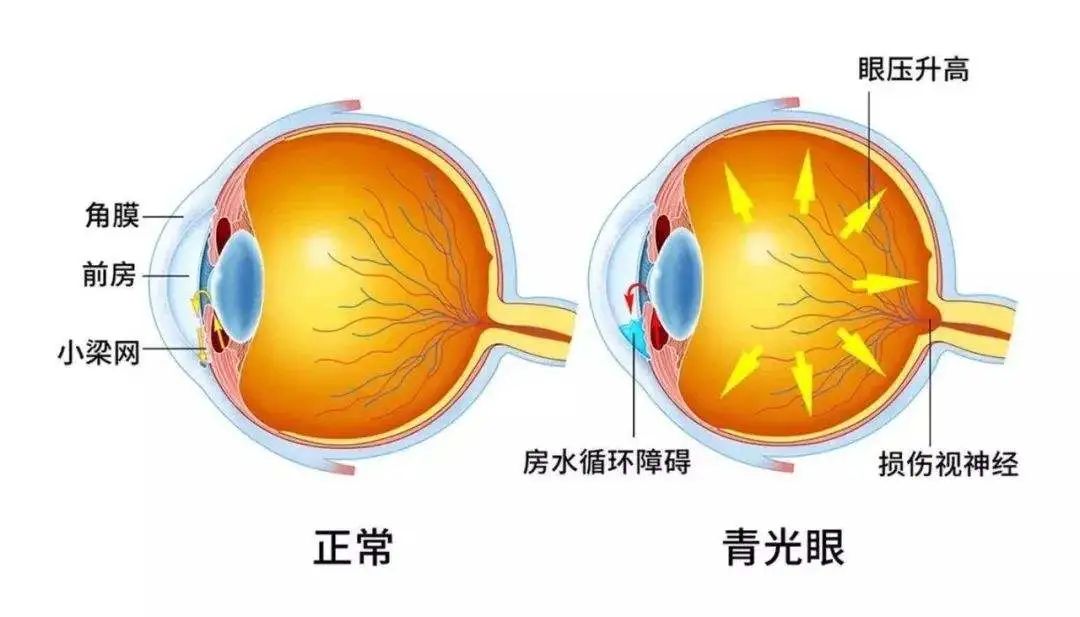 当代打工人回家现状，你中招了吗？插图