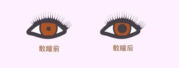 孩子近视了怎么办？多吃蓝莓有用吗？插图(2)