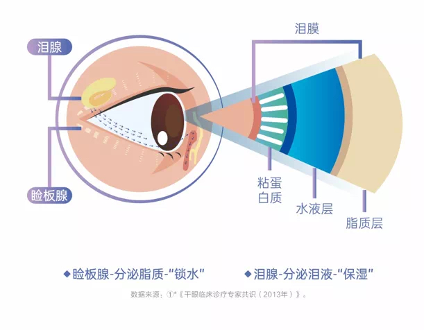 用眼过度后眼睛干涩、疲劳？到底是热敷好还是冷敷好？插图