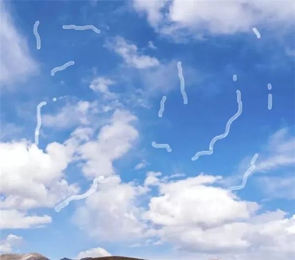 救命！眼睛里有好多只找不到的蚊子？！插图
