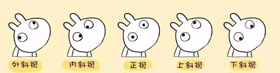 听完这堂课，让孩子远离斜弱视！插图
