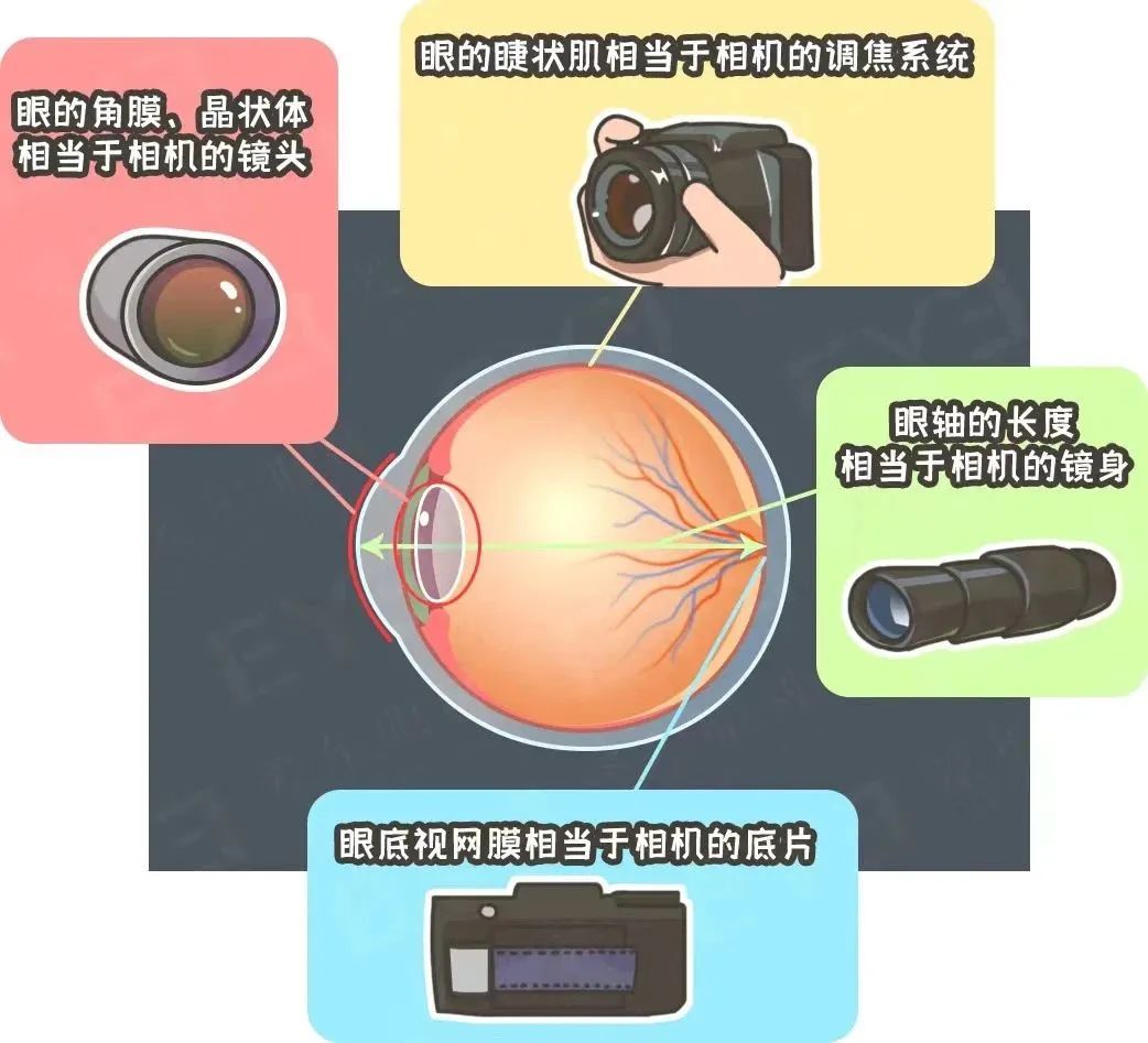 做近视手术，视力恢复到1.0还是1.5？插图(2)