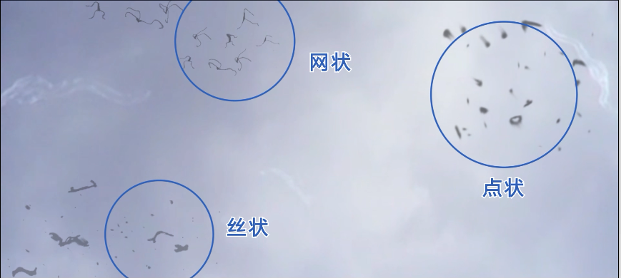 【科普】如何给眼睛“驱蚊”？插图