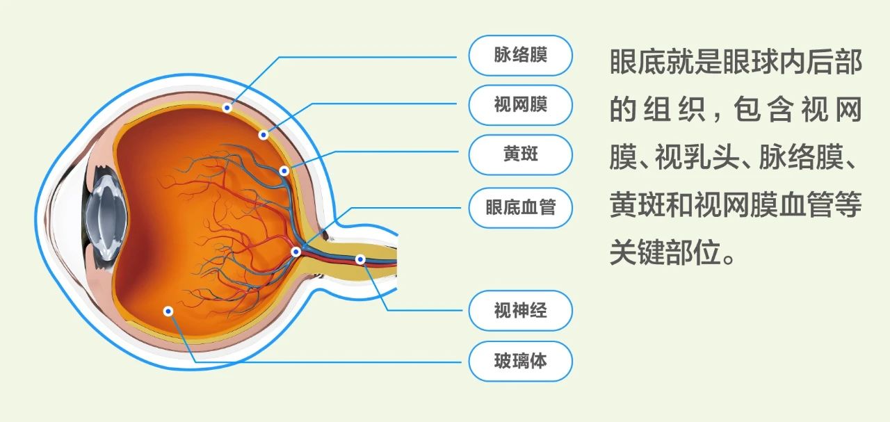 第17个“联合国糖尿病日”：爱尔眼科糖尿病眼病关爱月系列活动即将启动插图