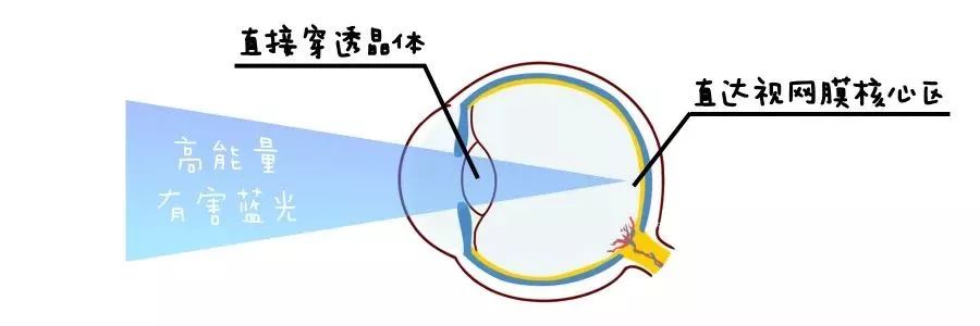眼睛到底需不需要防蓝光？答案在这里~插图(6)