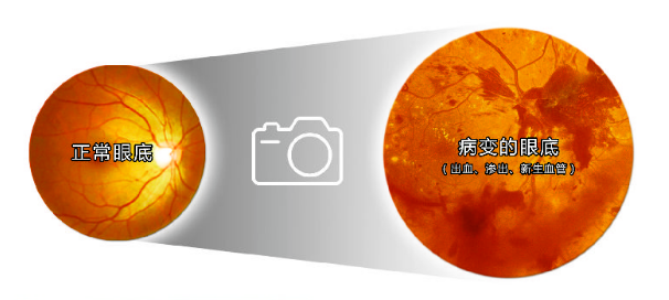 拍过那么多照片，这张“照片”你拍过吗？插图(1)