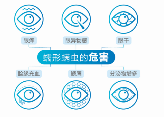 眼睛又干又痒？要警惕螨虫在“作祟”插图(1)