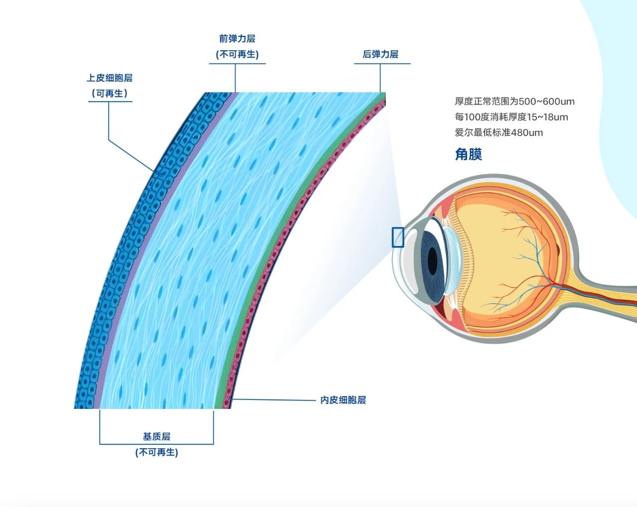 全飞秒VS半飞秒，究竟哪个好？插图(1)